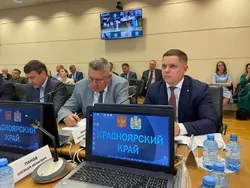 «Деловая Россия» внесла предложения по поддержке малых предприятий лесной отрасли